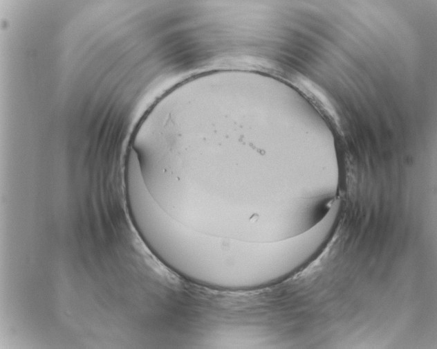 X0000088211192200706121758