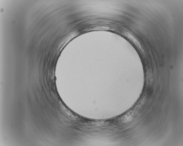 X0000088211193200706121758