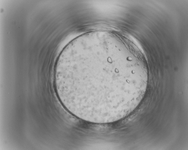 X0000088211195200706121757