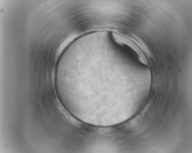 X0000088211196200706121757