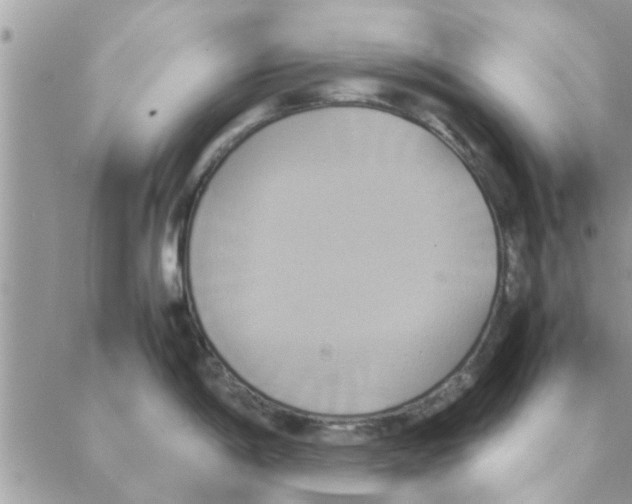 X0000088211198200706121757