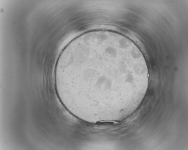 X0000088211199200706121757