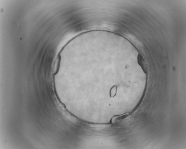 X0000088211200200706121757