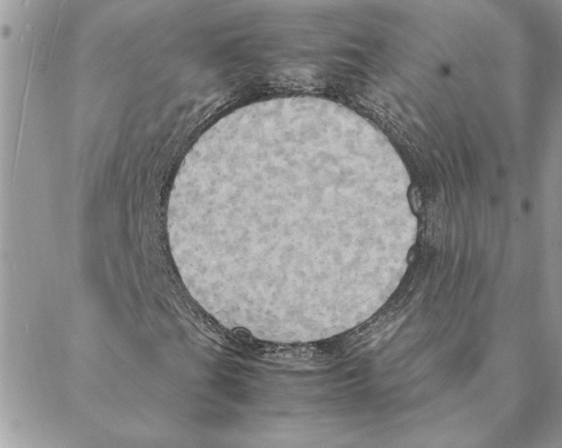 X0000088211201200706121757