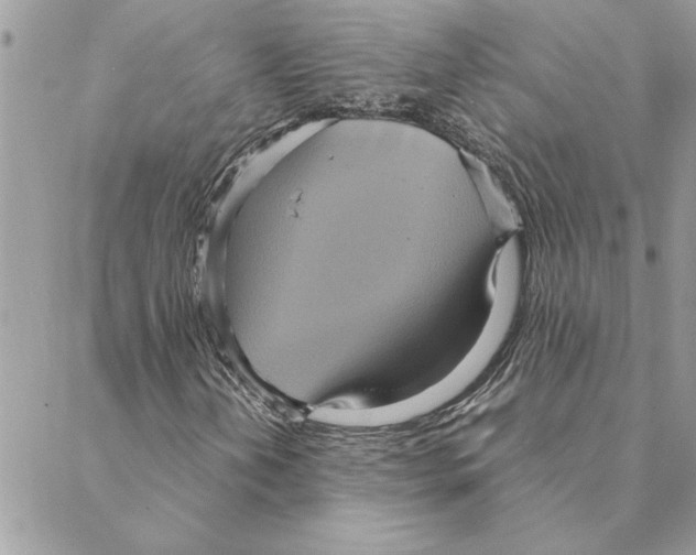 X0000088211202200706121757