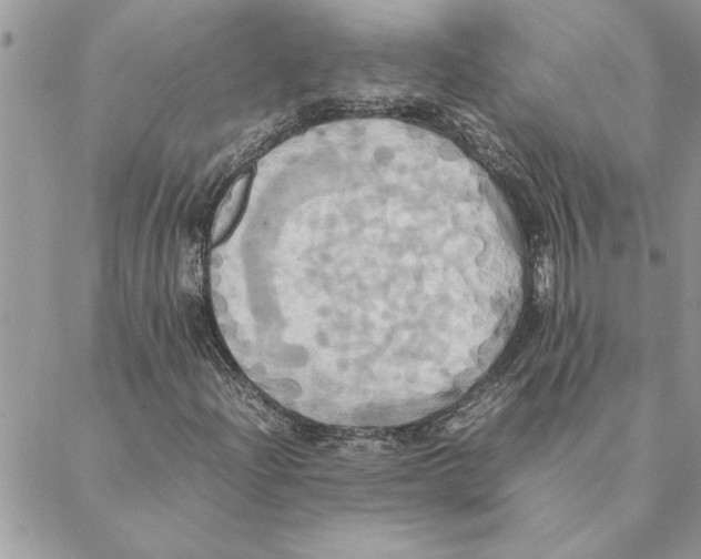 X0000088211204200706121757