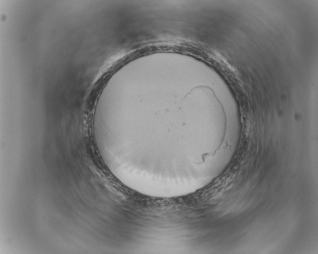 X0000088211208200706121757