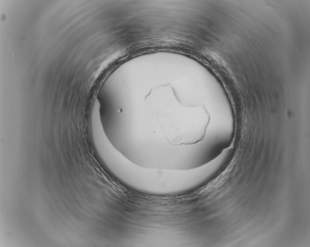 X0000088211210200706121757