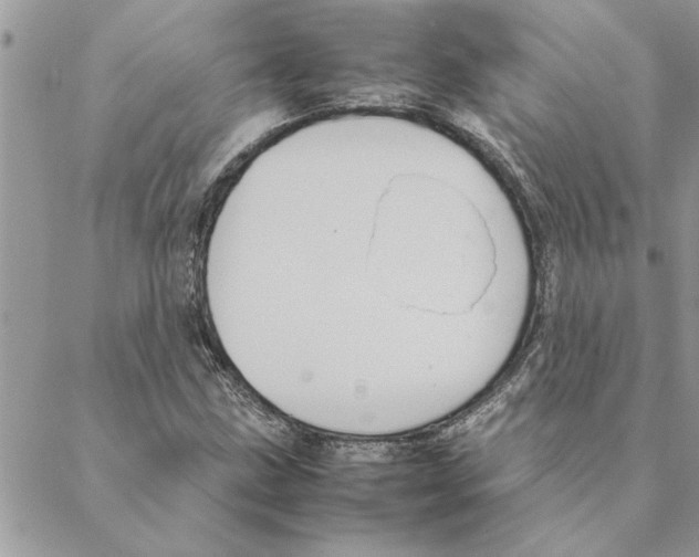 X0000088211211200706121757