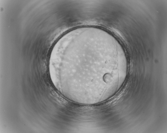 X0000088211212200706121757