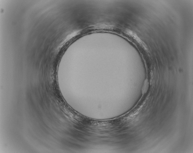 X0000088211213200706121757