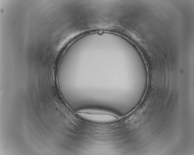 X0000088211214200706121757