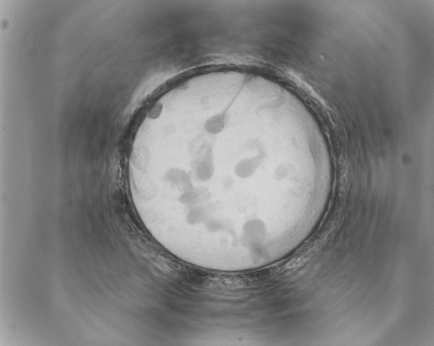 X0000088211215200706121757