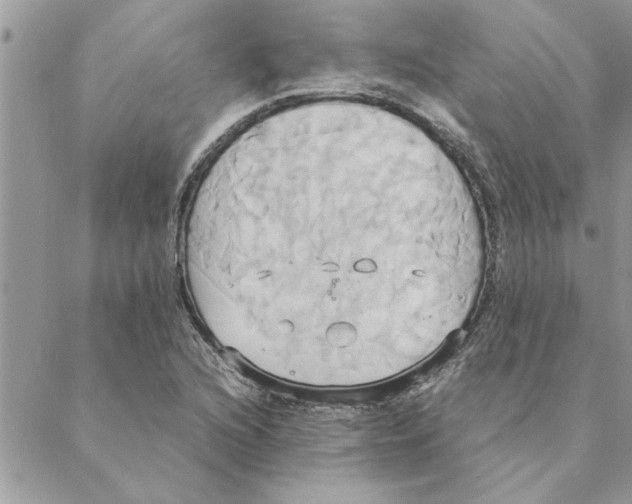 X0000088211216200706121757