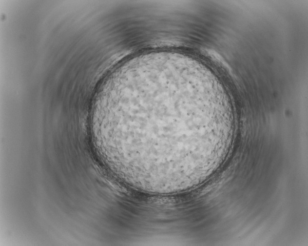 X0000088211217200706121757