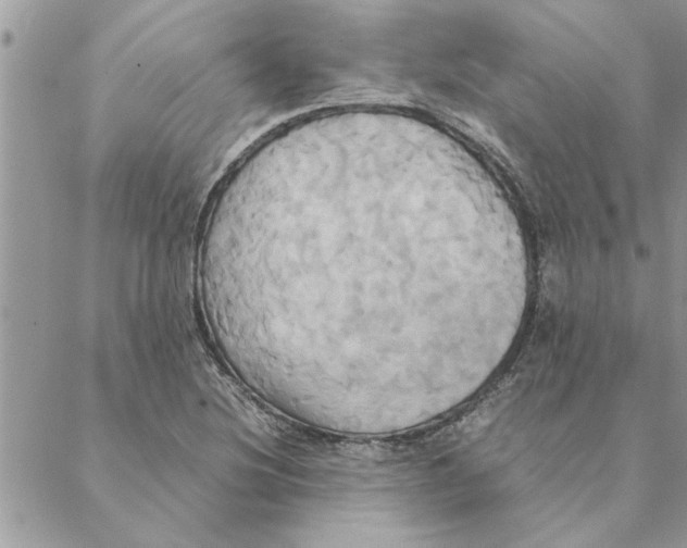 X0000088211220200706121757