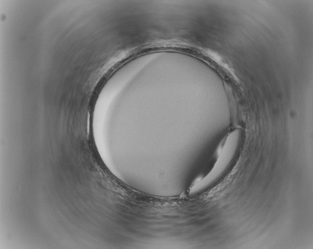 X0000088211221200706121757