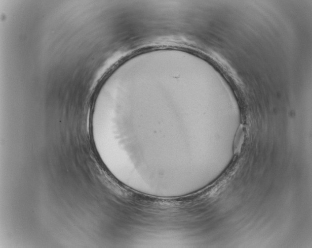 X0000088211224200706121757