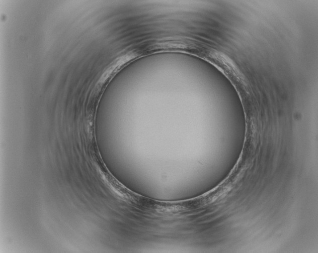 X0000088211225200706121757