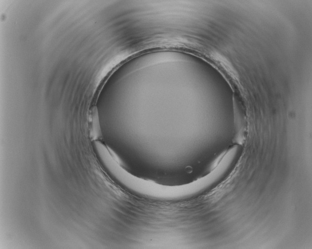 X0000088211226200706121757