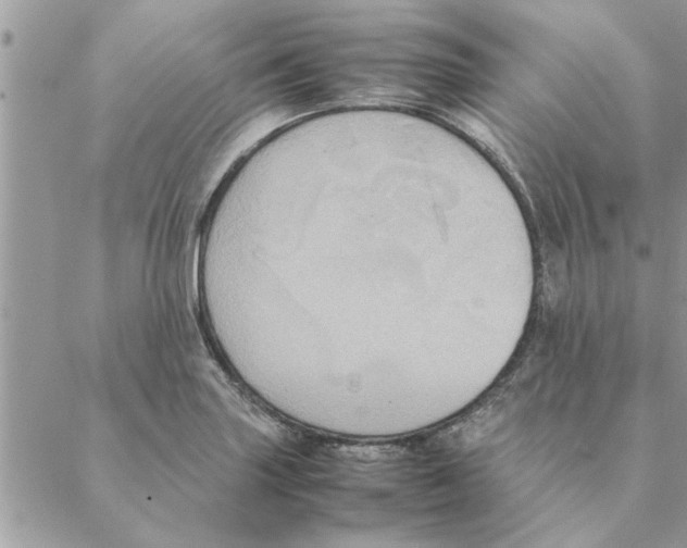 X0000088211227200706121757