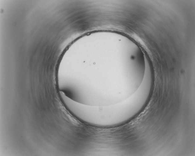 X0000088211230200706121757