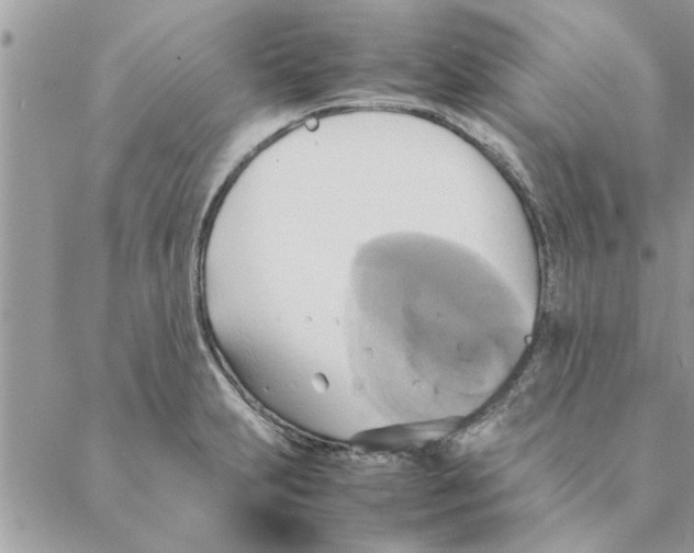 X0000088211231200706121757