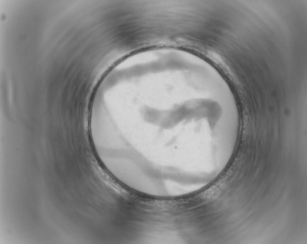 X0000088211232200706121757