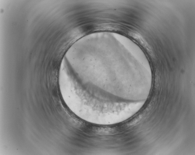 X0000088211233200706121757