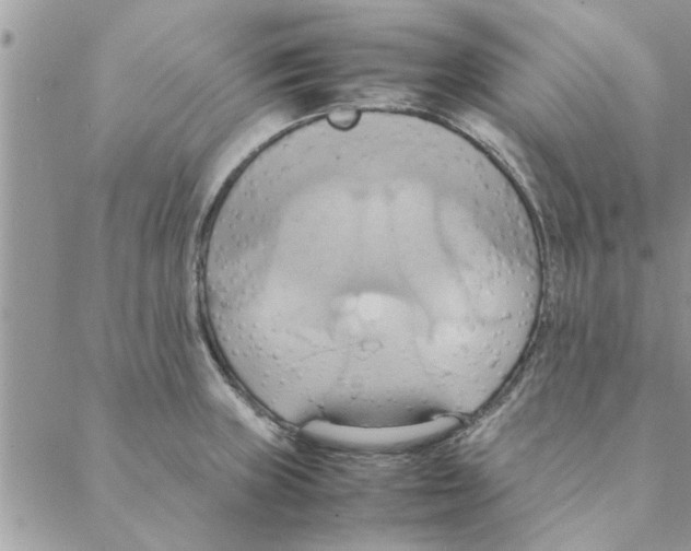 X0000088211235200706121757