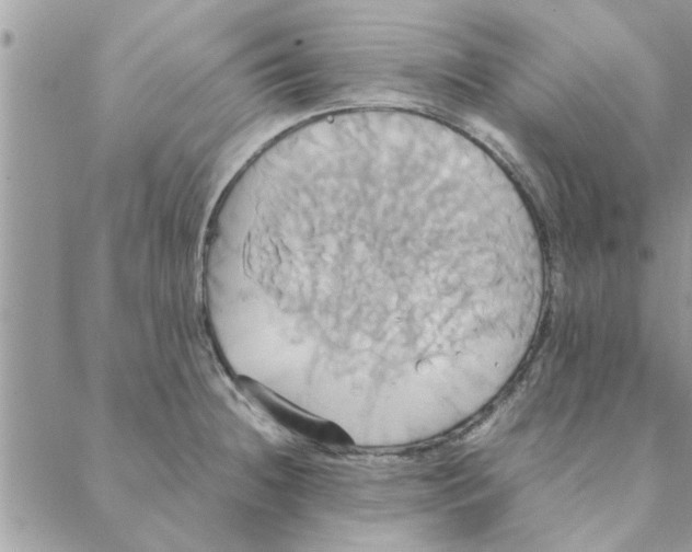 X0000088211236200706121757