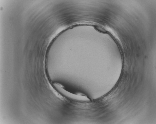 X0000088211237200706121757