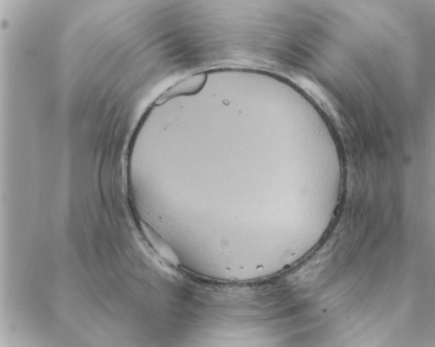 X0000088211238200706121757