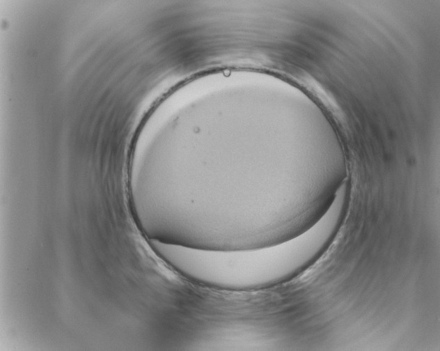 X0000088211240200706121757