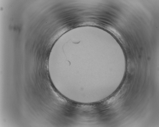 X0000088211241200706121757