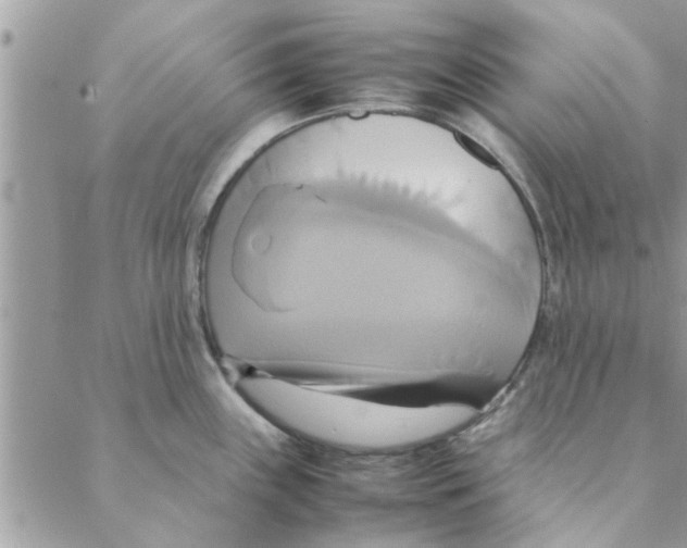 X0000088211243200706121757