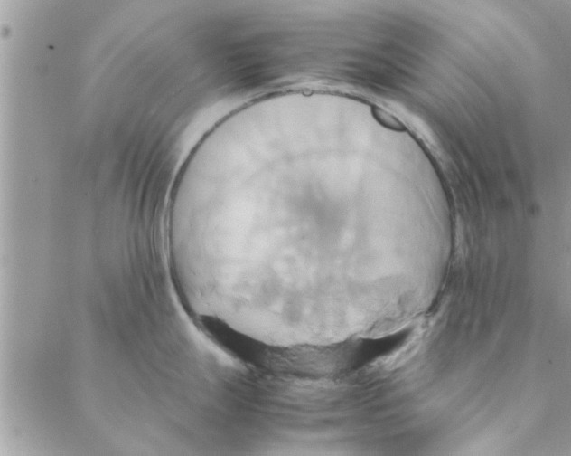 X0000088211247200706121757