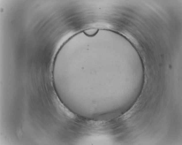 X0000088211248200706121757