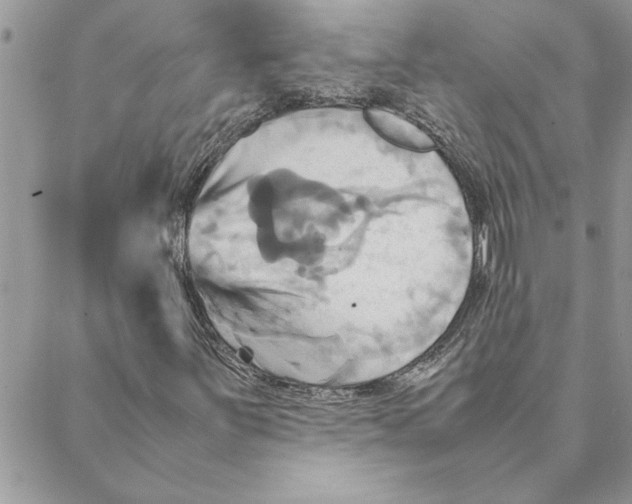 X0000088211251200706121757