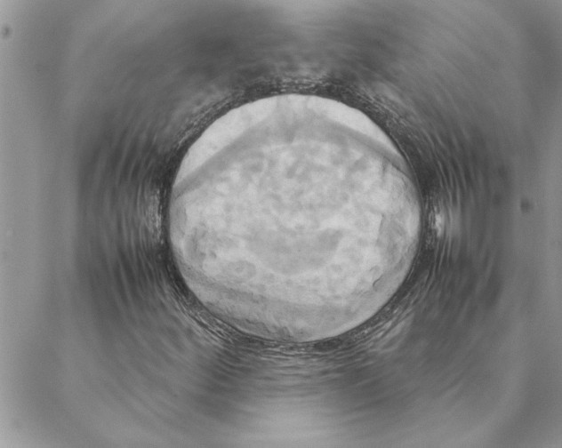 X0000088211252200706121757