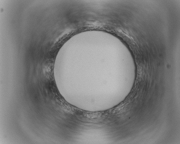 X0000088211254200706121757