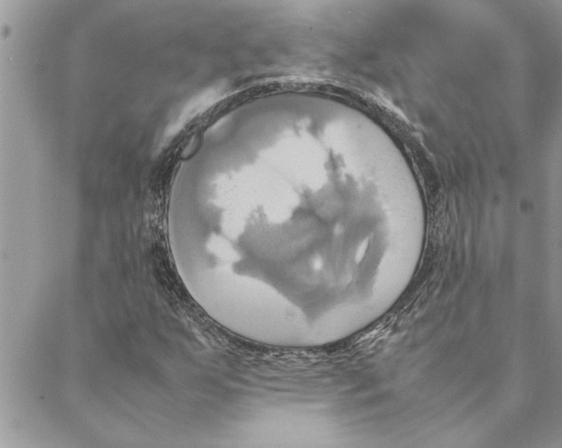 X0000088211255200706121757