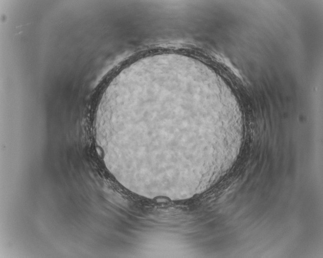 X0000088211256200706121757