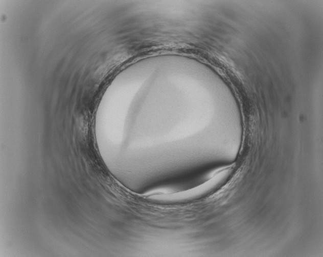 X0000088211257200706121756