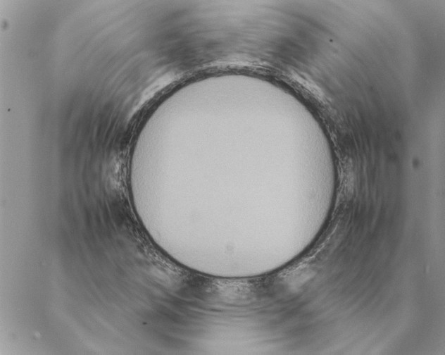 X0000088211258200706121756