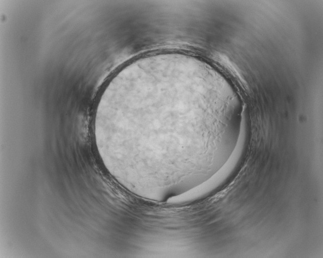 X0000088211260200706121756