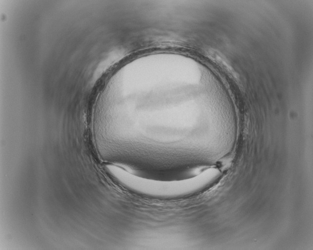 X0000088211261200706121756