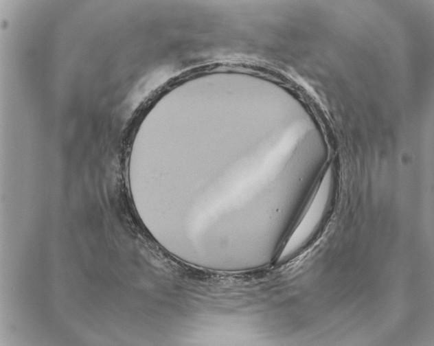 X0000088211263200706121756