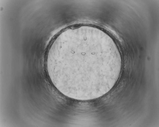 X0000088211264200706121756