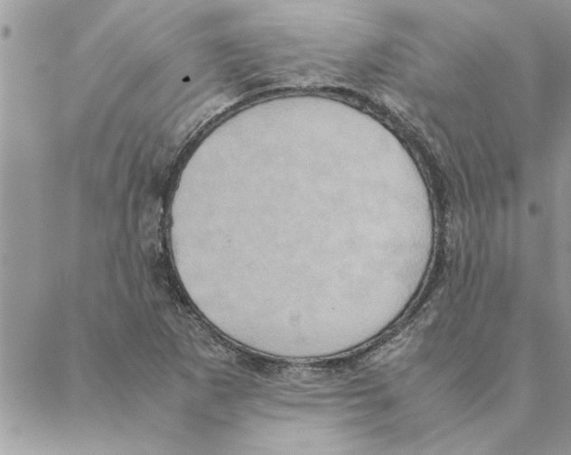 X0000088211265200706121756